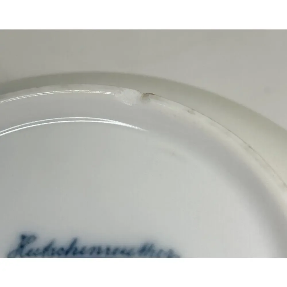 Hutschenreuther Selb Bavaria Porcelain Hand Painted Forget Me Not Flower 5